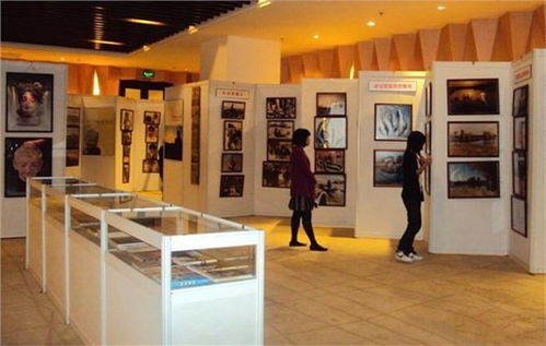珠宝展柜租赁,价格 珠宝展柜租赁,