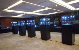郑州展览设备全攻略 展柜、玉器柜台与展位搭建一站式服务